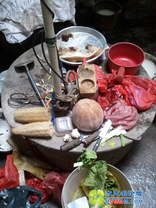 WP_002234.jpg