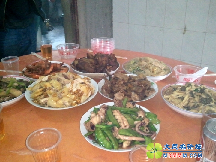 WP_002254.jpg