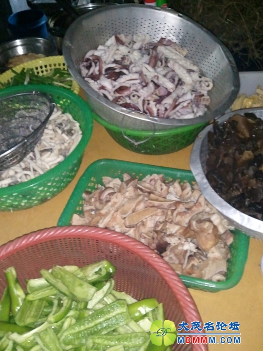 WP_002240.jpg