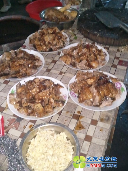 WP_002241.jpg