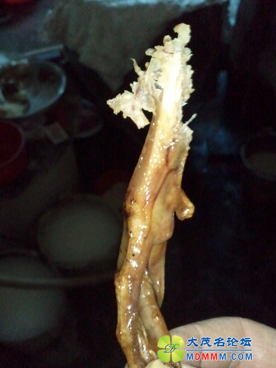 WP_002228.jpg