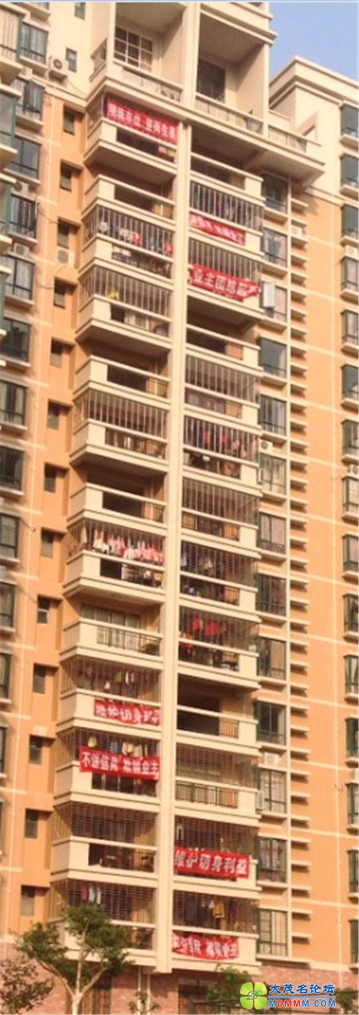 QQ20131228111316_.jpg