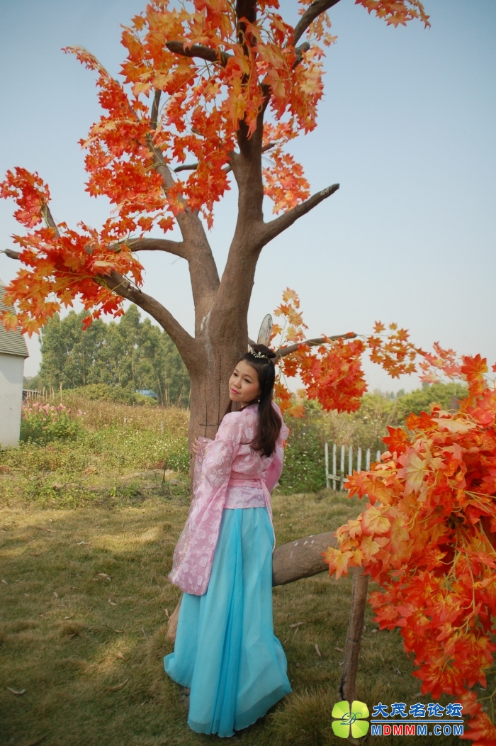 DSC_7113.jpg