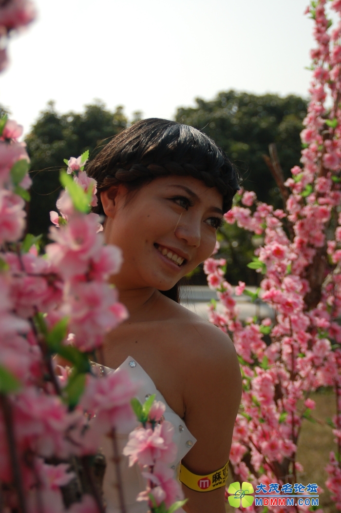 DSC_7137.jpg