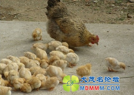 QQͼƬ20140104115345.jpg