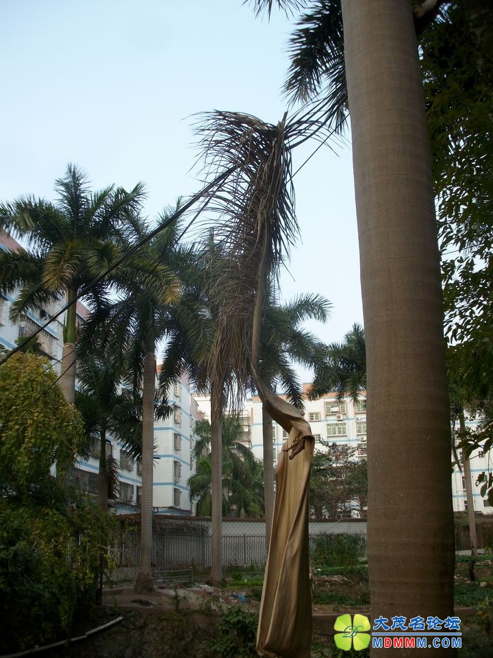 ALIM0838.JPG