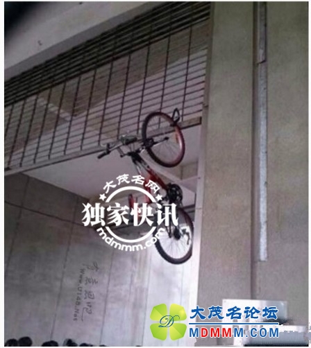 QQͼƬ20140117105502_.jpg