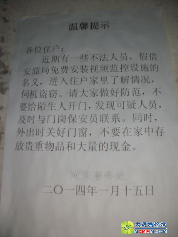 ALIM0848.JPG