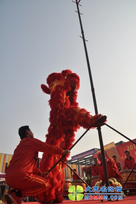 DSC_0022.jpg