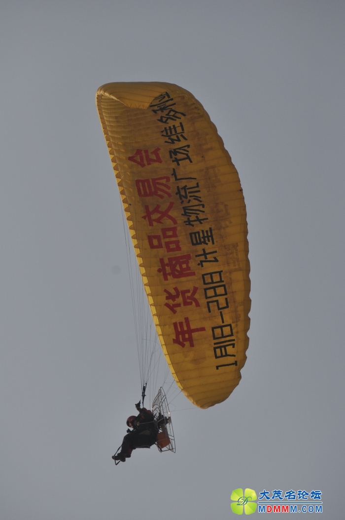 DSC_0048.jpg