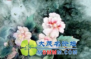 9637a2b4jw1ebgm8cvp43j205h08c3yv.jpg