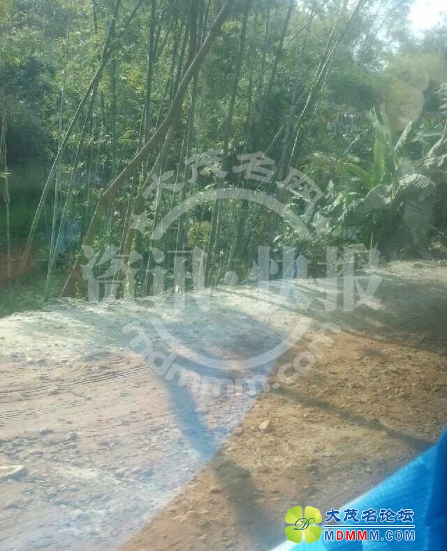 111753fxg4zl3f49tcefhl__.jpg