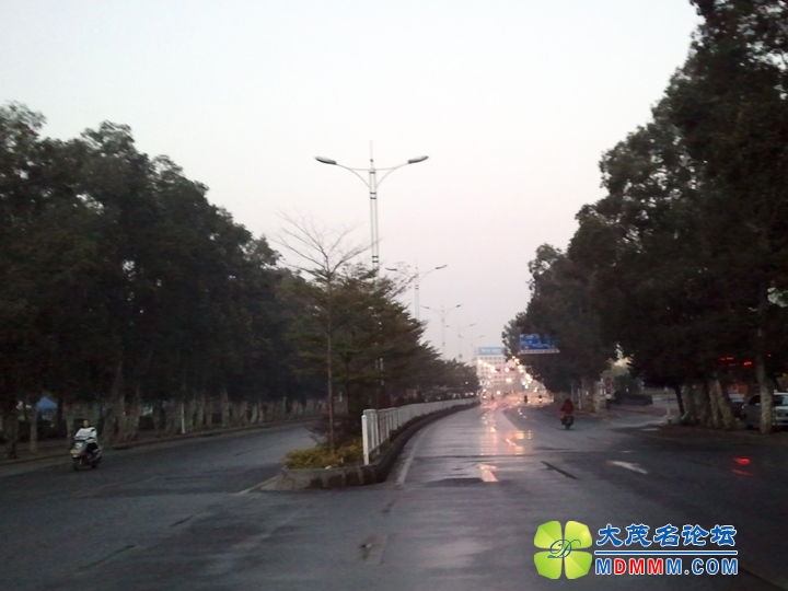 WP_002515.jpg