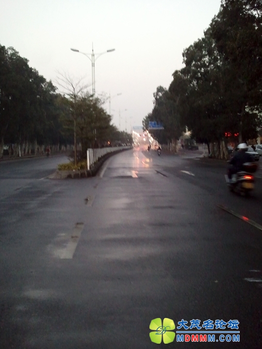 WP_002516.jpg