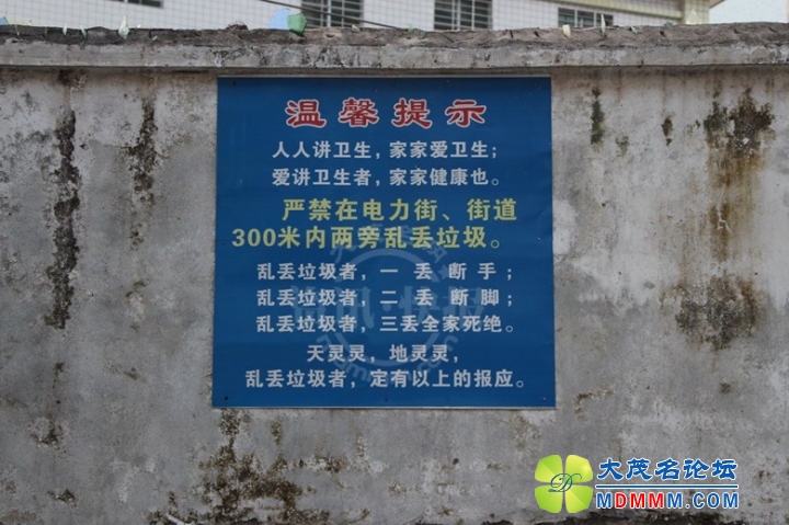 u=1146800548,3902769255&fm=21&gp=0_.jpg