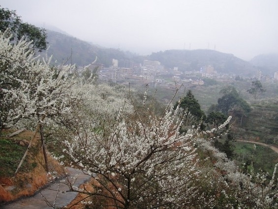 QQͼƬ20140130134548.jpg