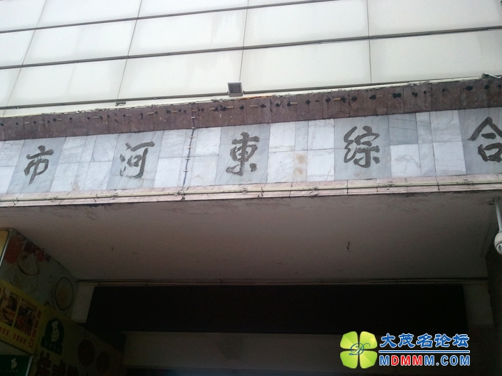 WP_002699.jpg