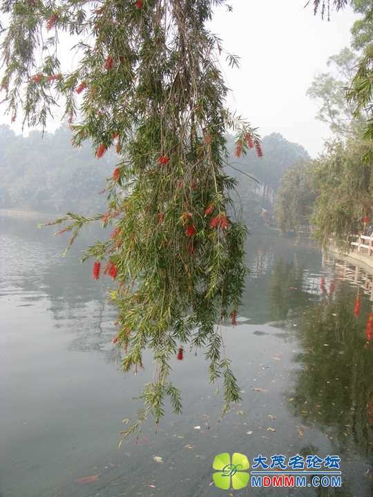 Ƭ 062.jpg
