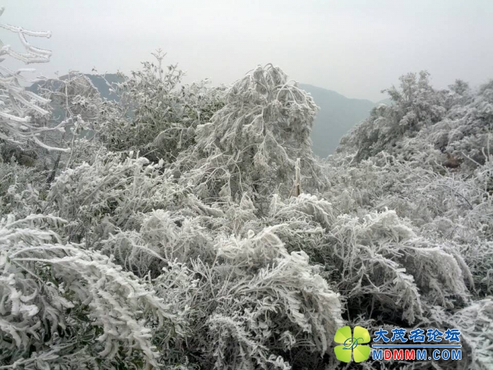 QQͼƬ20140211114727.jpg