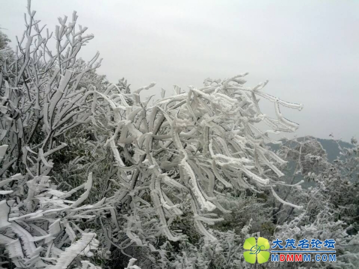 QQͼƬ20140211114731.jpg