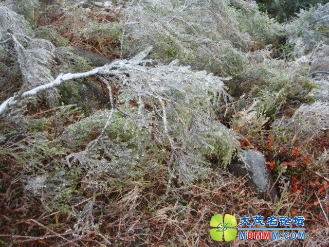 QQͼƬ20140211114740.jpg