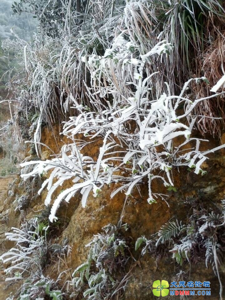 QQͼƬ20140211120407.jpg