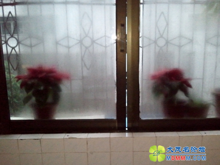 WP_002774.jpg