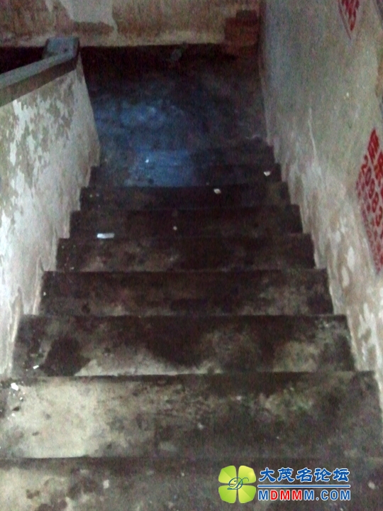 WP_002776.jpg