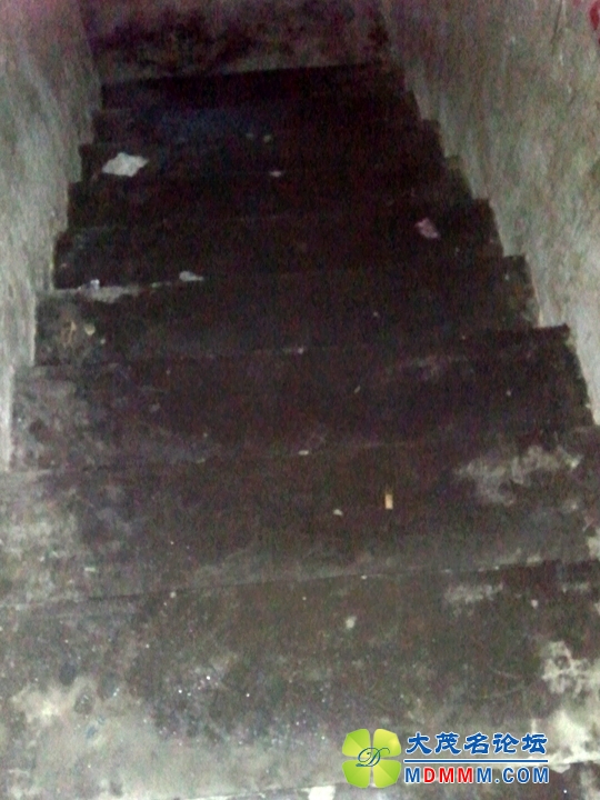 WP_002779.jpg