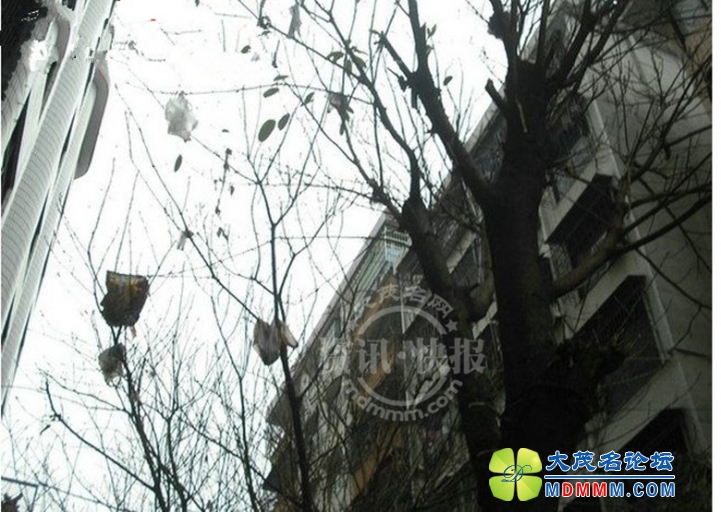 QQͼƬ20140218143935_.jpg