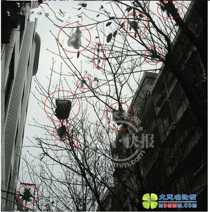QQͼƬ20140218143935__.jpg