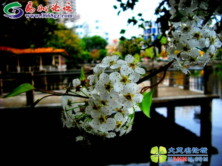 DSCF7001.JPG