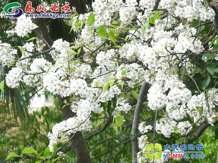 DSCF7752.JPG