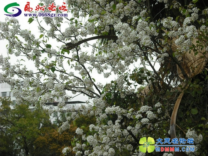 DSCF7762.JPG