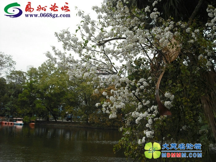 DSCF7757.JPG
