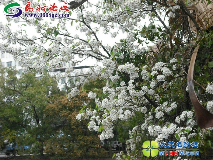 DSCF7764.JPG