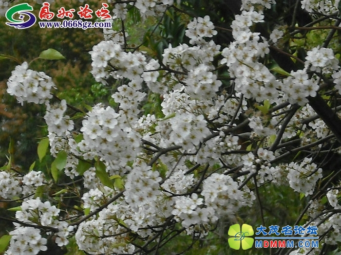 DSCF7770.JPG