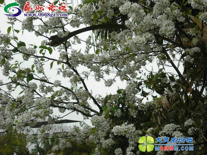 DSCF7768.JPG