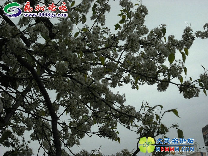 DSCF7777.JPG