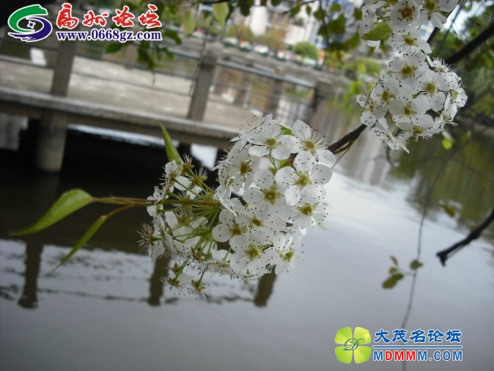 DSCF7788.JPG