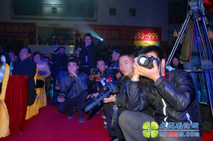 DSC_8206_.jpg