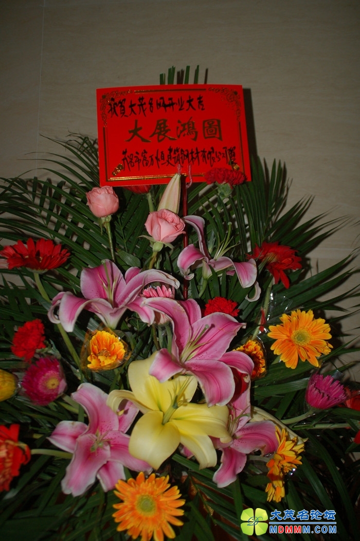 DSC_8358_.jpg