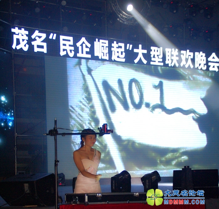 DSC_8292_.jpg