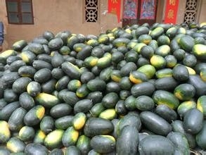 水果图四.jpg