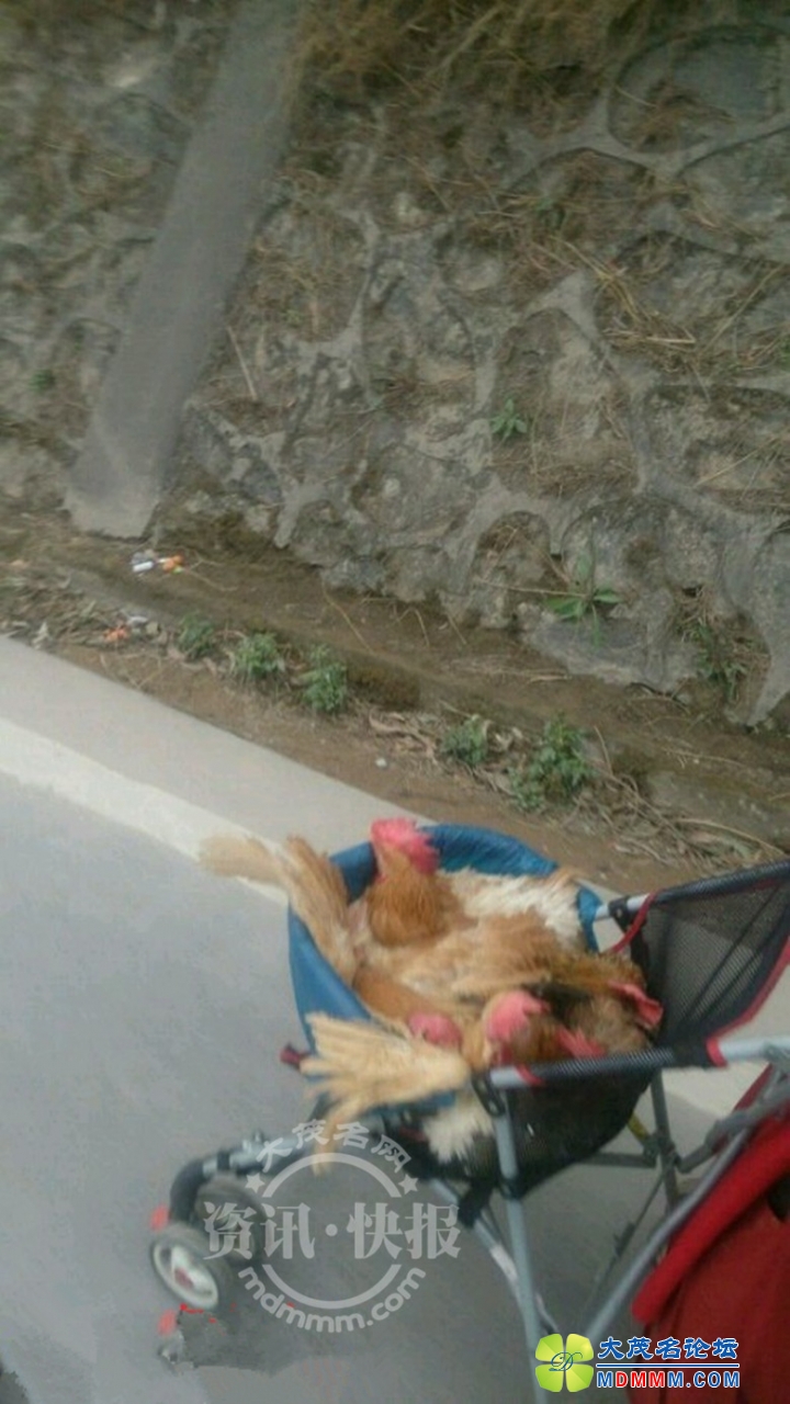 092114nhdphhh7dlcvchdw____.jpg