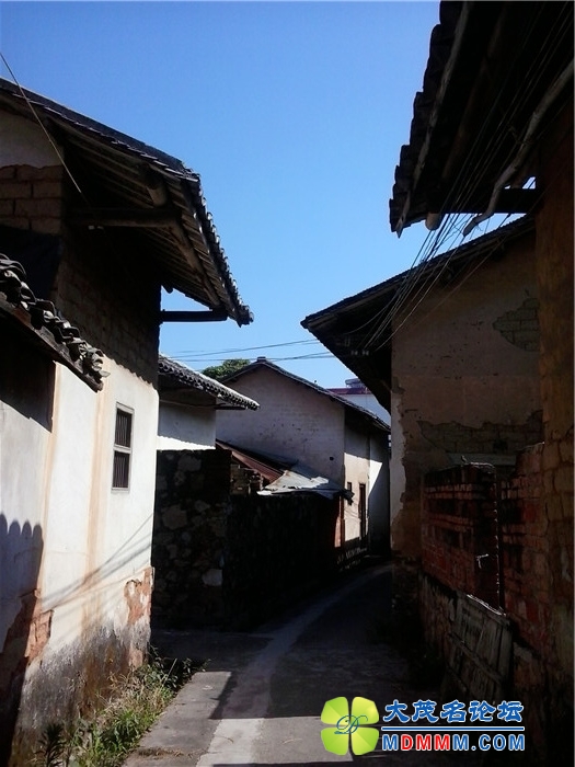 2014-01-24 13.33.52.jpg