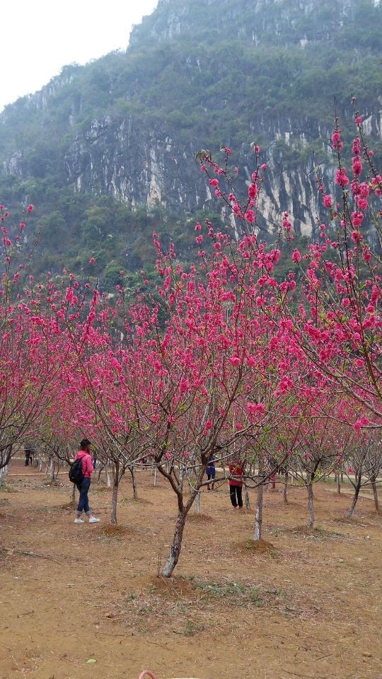 QQ图片20140225153602.jpg