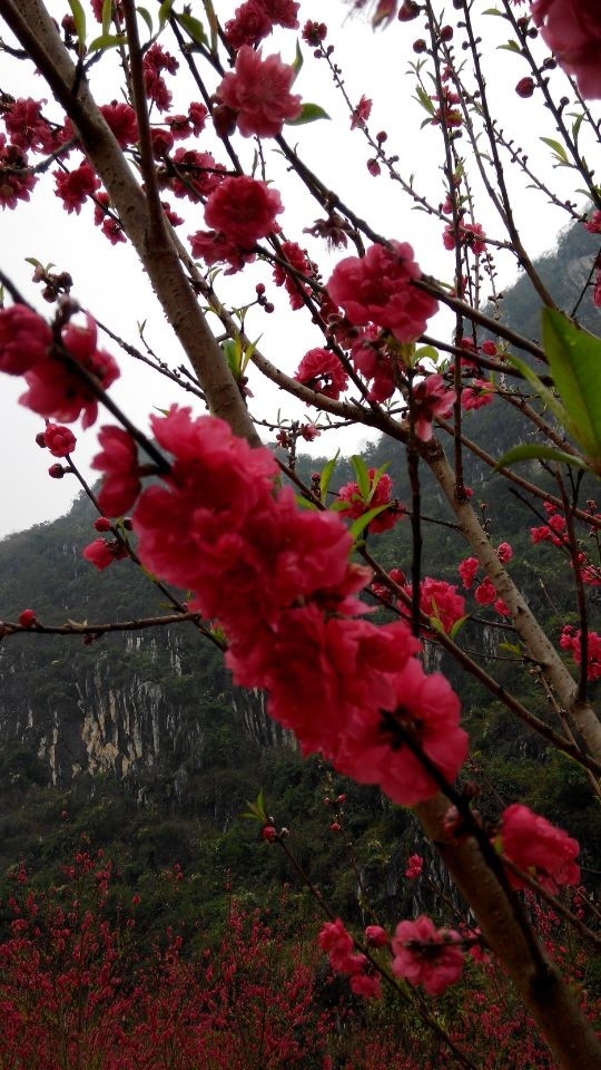 QQ图片20140225154527.jpg
