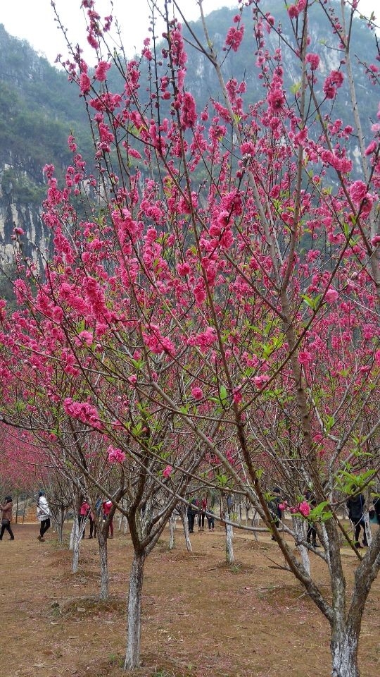 QQ图片20140225154140.jpg