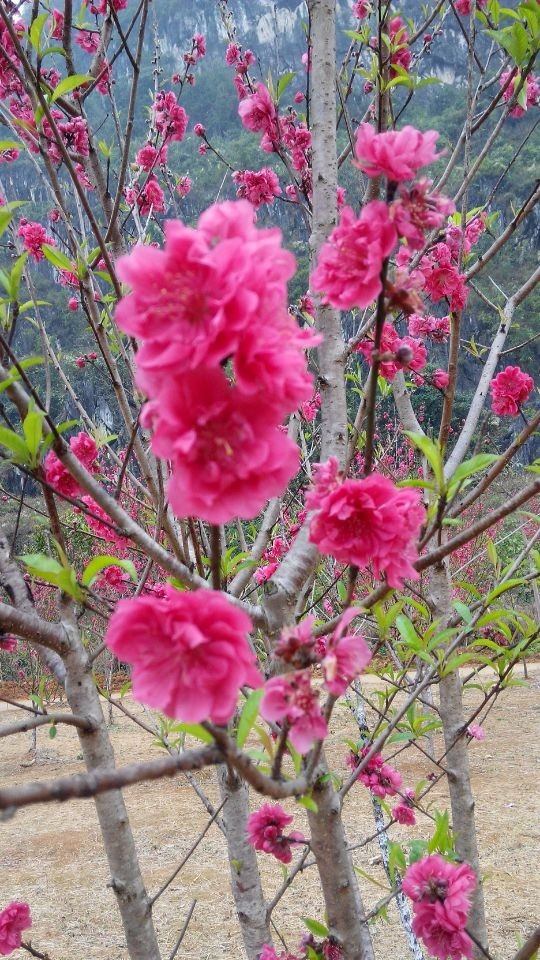 QQ图片20140225154531.jpg